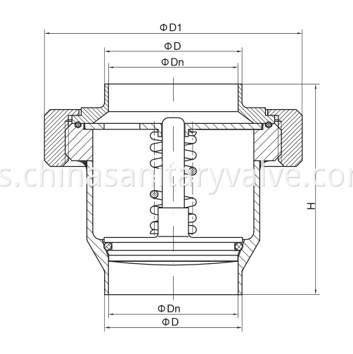 DIN Hygienic Union Type Check Valves